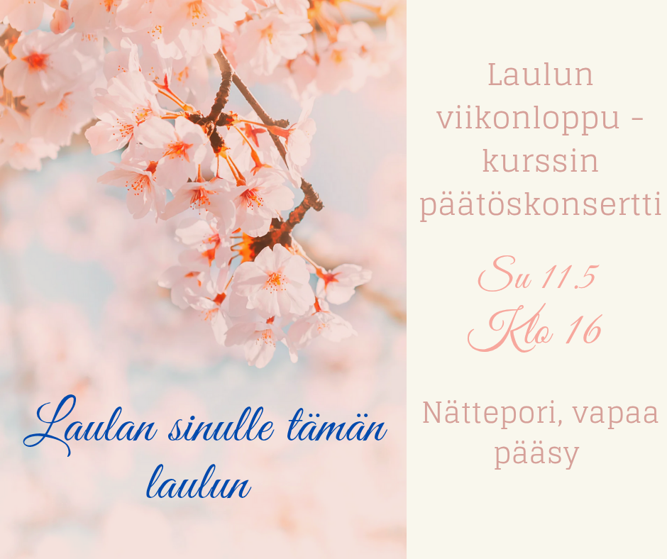 Laulan sinulle tämän laulun -konsertti