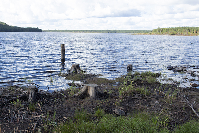 Kuva Pinnan alla taidenäyttelyn kuvasta.