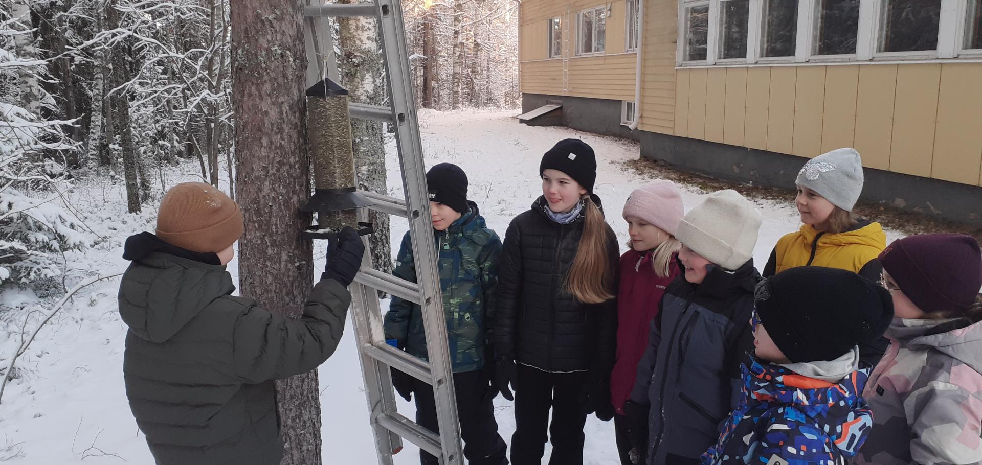 Aseman koulun oppilaiden lintujen talviruokintapaikalla.