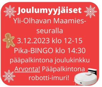 Joulumyyjäiset 3.12.